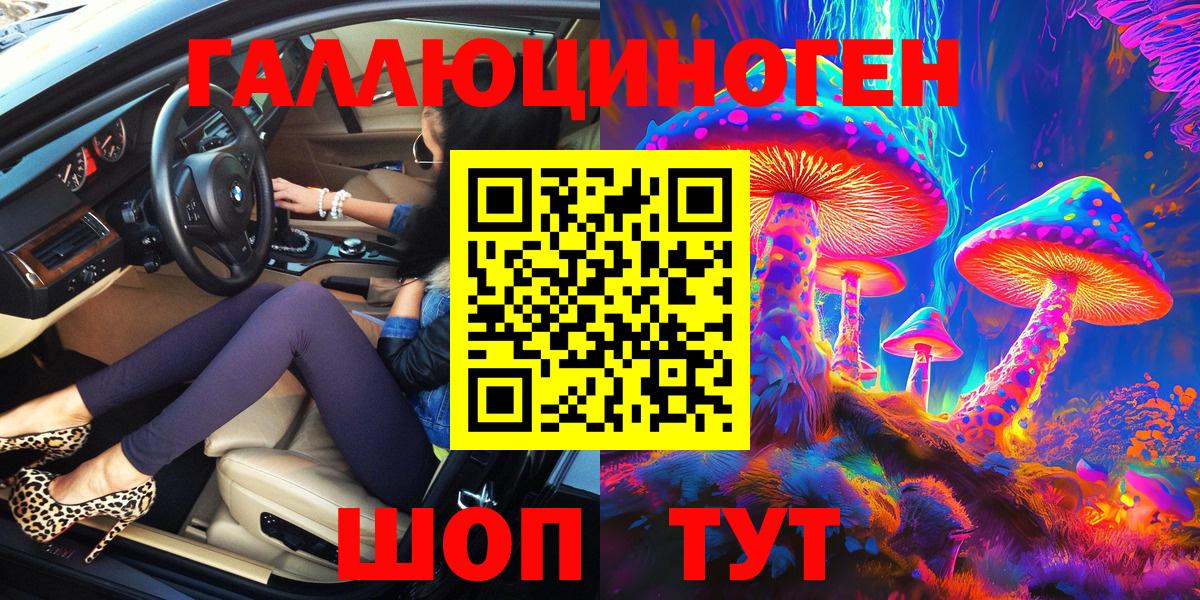 Псилоцибиновые грибы Psilocybine cubensis Красногорск